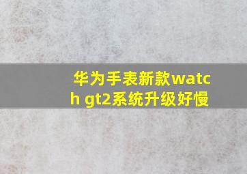 华为手表新款watch gt2系统升级好慢